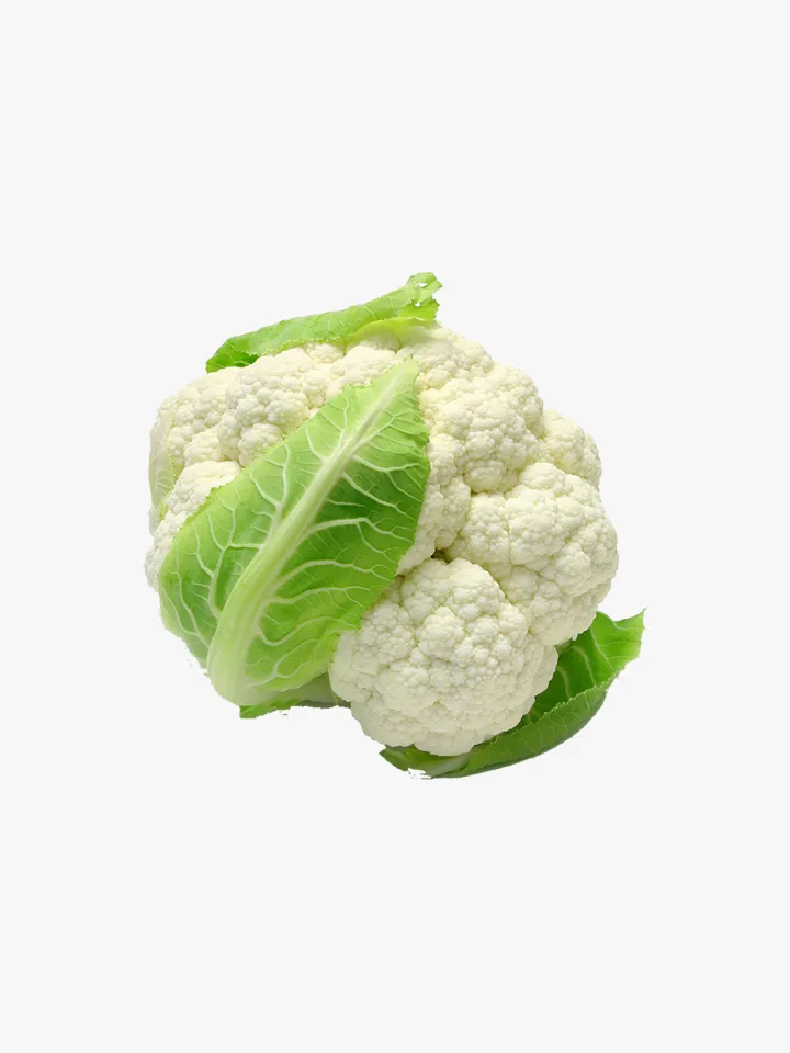 organic-2-2